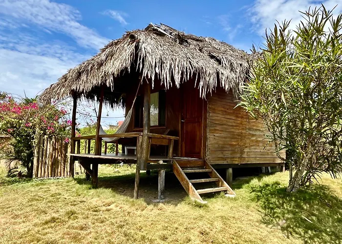 Kamala Surf & Backpacker Hostel