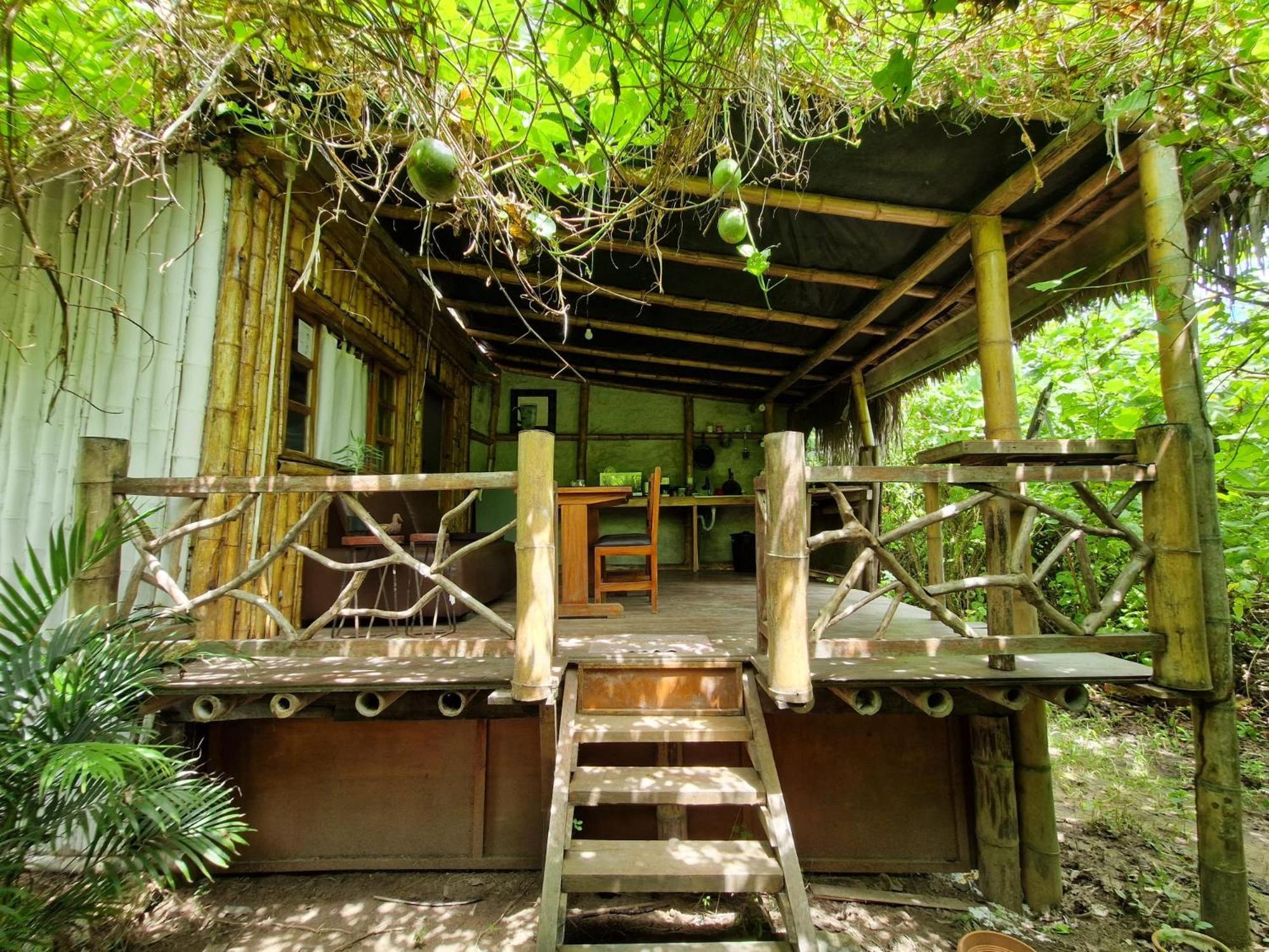 Kamala Surf & Backpacker Hostel *