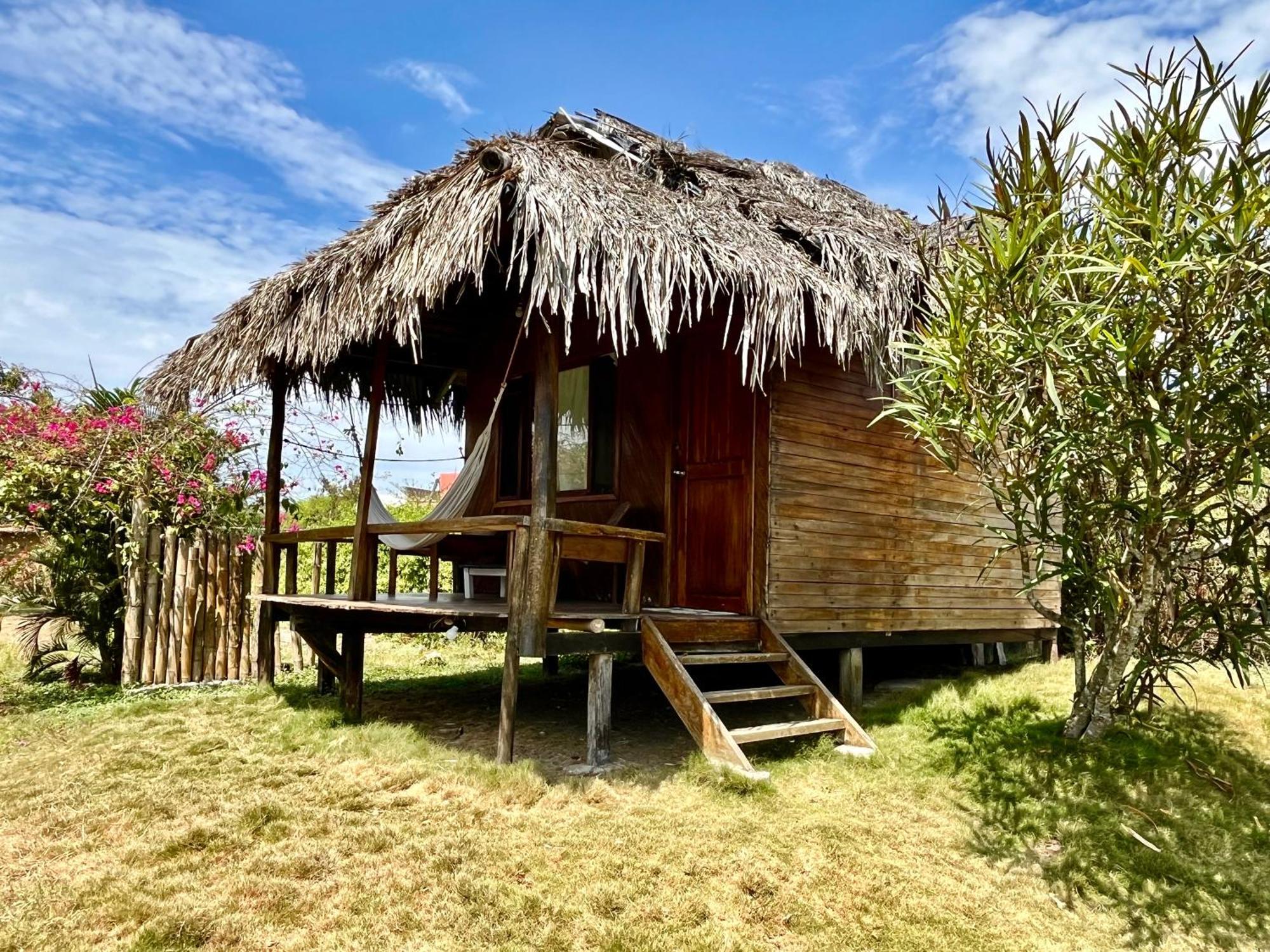 Hostel Kamala Surf & Backpacker