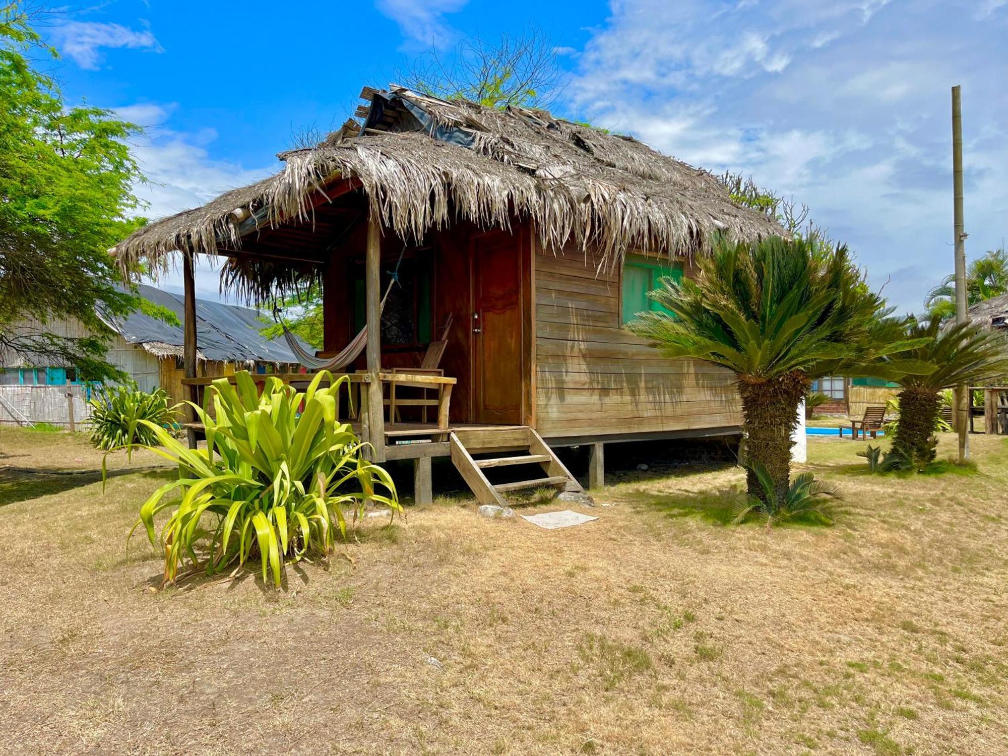 Kamala Surf & Backpacker Hostal